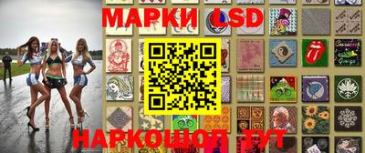 СК Новодвинск