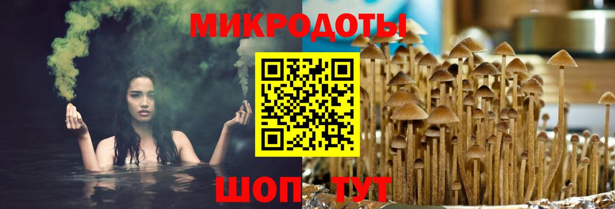 Галлюциногенные грибы GOLDEN TEACHER Уссурийск