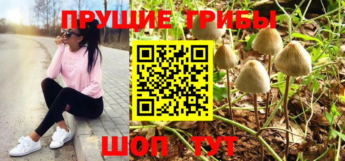 Псилоцибиновые грибы прущие грибы  Галлюциногенные грибы мицелий  Уссурийск  Вход с VPN 